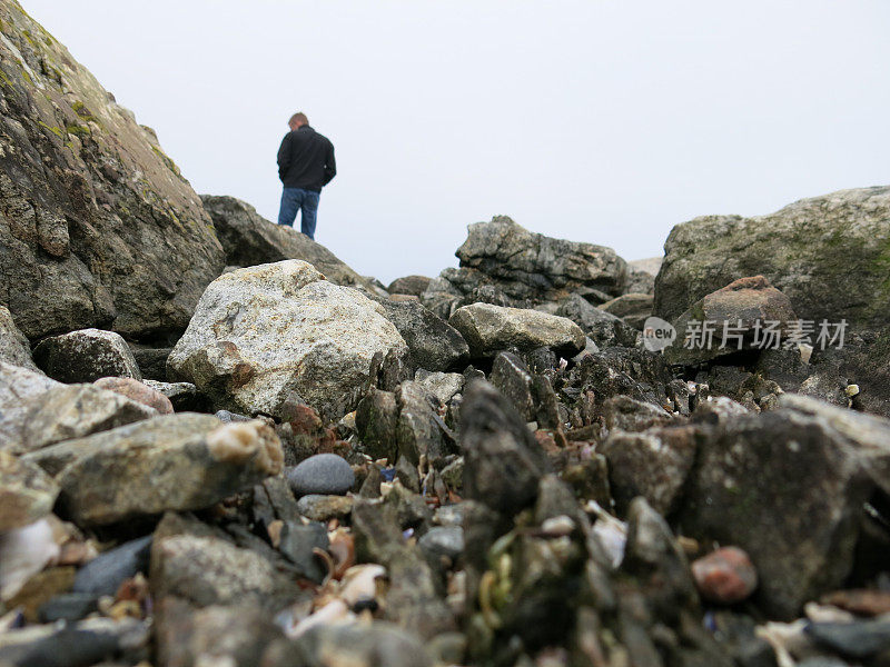 Solitary Man on Rocks of Acadia National Park Shore, Maine